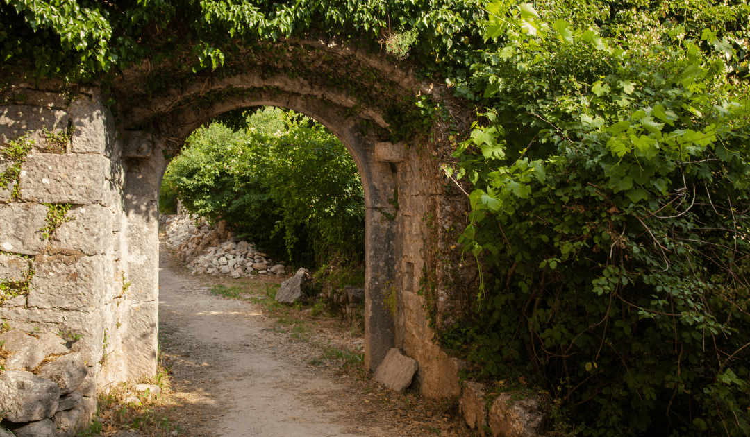 Excursions from Villa Pohman